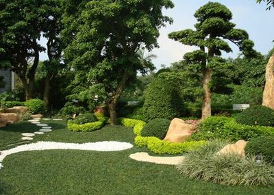 山東綠化苗木價格_想要品質好的山東綠化苗木價格就來眾邦園林